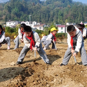 调查显示：中小学生劳动教育严重脱离日常生活
