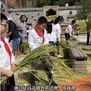 某小学将打谷子纳入劳动课，孩子很欢乐，家长却有很多质疑的理由